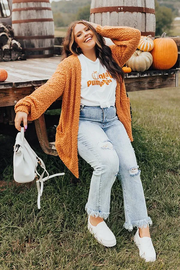 All Spice Popcorn Knit Cardigan In Pumpkin Curves